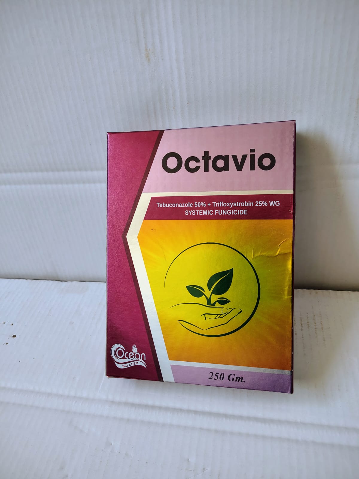 OCTAVIO